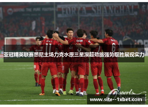 亚冠精英联赛悉尼主场力克水原三星澳超劲旅强势取胜展现实力