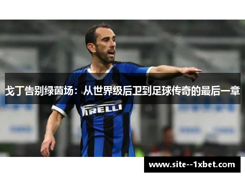 戈丁告别绿茵场：从世界级后卫到足球传奇的最后一章