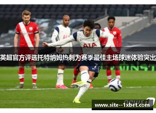 英超官方评选托特纳姆热刺为赛季最佳主场球迷体验突出