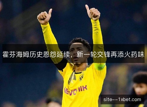霍芬海姆历史恩怨延续,新一轮交锋再添火药味 霍芬海姆历史恩怨延续,新一轮交锋再添火药味